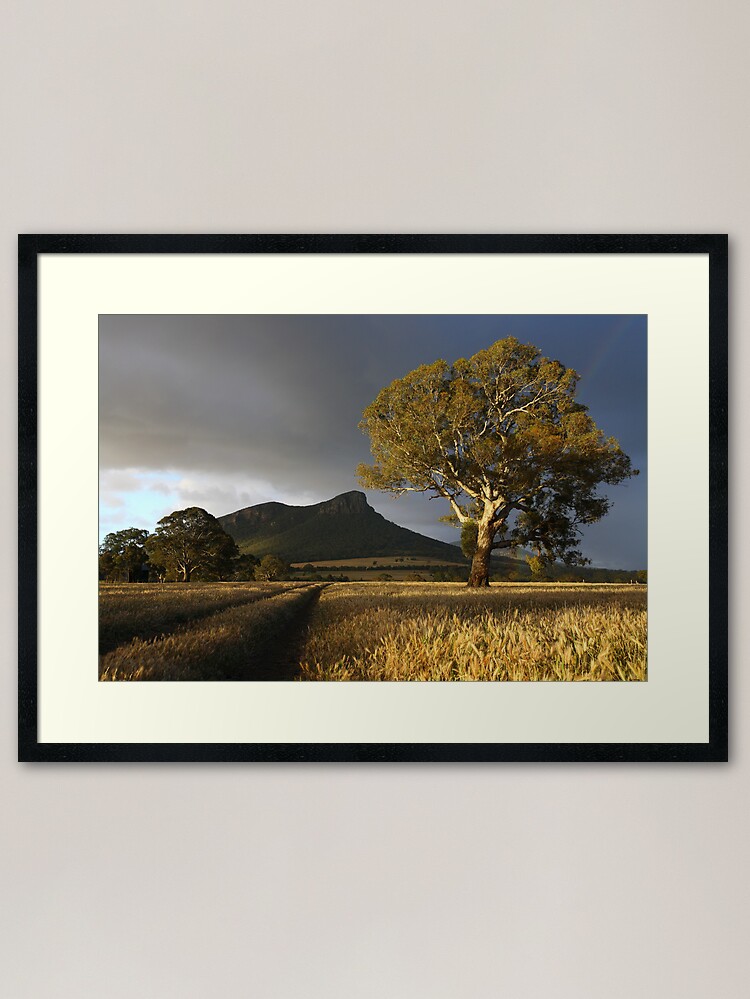 Thumbnail 2 of 7, Framed Art Print, Wild Light over the Grampians, Dunkeld, Australia designed and sold by Michael Boniwell.