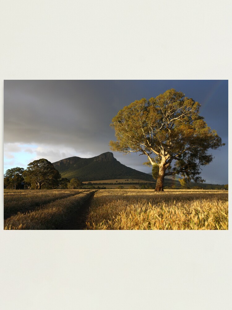 Photographic Print, Wild Light over the Grampians, Dunkeld, Australia designed and sold by Michael Boniwell