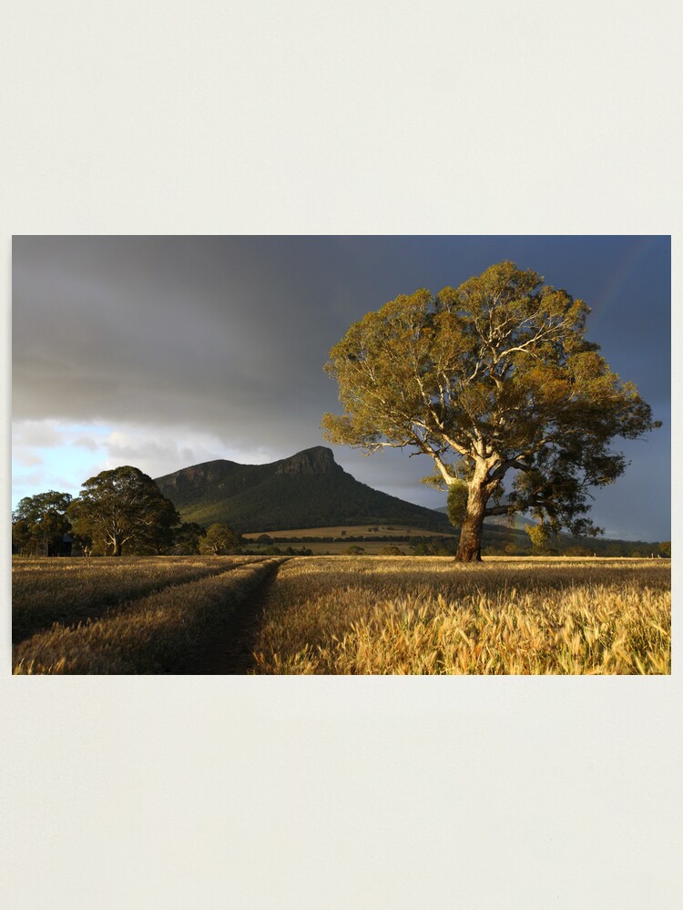 Thumbnail 2 of 3, Photographic Print, Wild Light over the Grampians, Dunkeld, Australia designed and sold by Michael Boniwell.