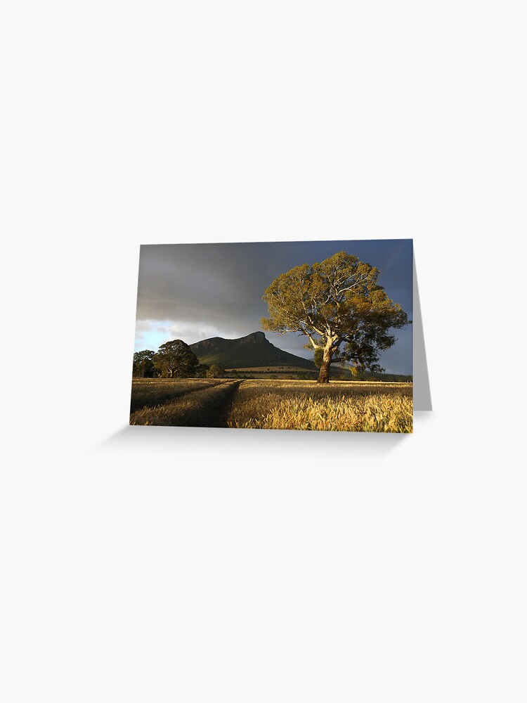 Thumbnail 1 of 2, Greeting Card, Wild Light over the Grampians, Dunkeld, Australia designed and sold by Michael Boniwell.