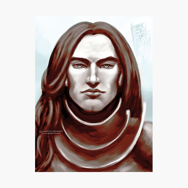 Knight in rusty hues Photographic Print