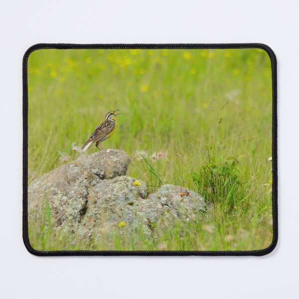 Item preview, Joyful Meadowlark designed and sold by Nancy Barrett.