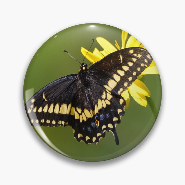 Item preview, Black Swallowtail Butterfly designed and sold by Nancy Barrett.