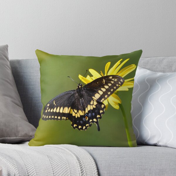 Item preview, Black Swallowtail Butterfly designed and sold by Nancy Barrett.