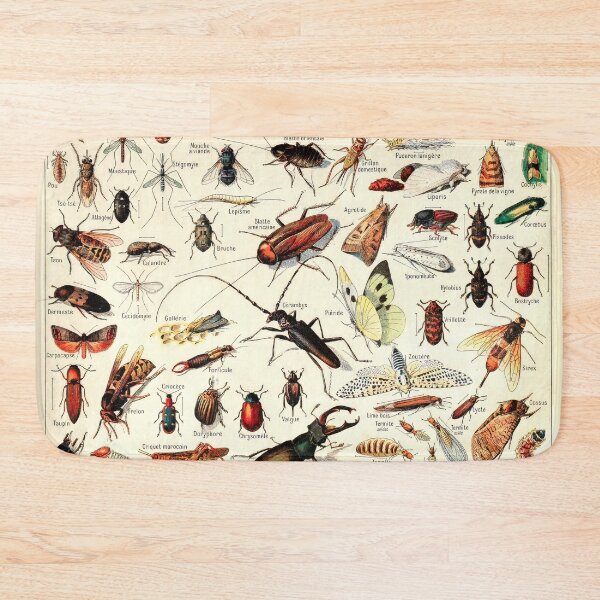 Item preview, Insectes I | Vintage French Insect Chart by Adolphe Millot designed and sold by wildtribe.