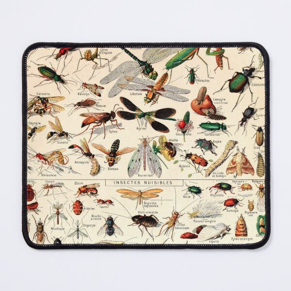 Item preview, Insectes I | Vintage French Insect Chart by Adolphe Millot designed and sold by wildtribe.