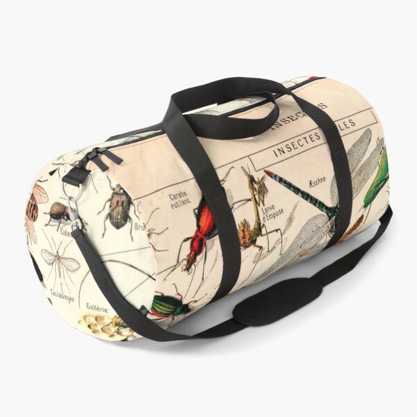 Item preview, Insectes I | Vintage French Insect Chart by Adolphe Millot designed and sold by wildtribe.
