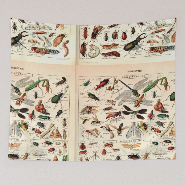 Item preview, Insectes I | Vintage French Insect Chart by Adolphe Millot designed and sold by wildtribe.