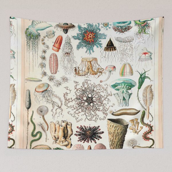 Item preview, Oceanographie I | Oceanography Vintage French Scientific Chart by Adolphe Millot designed and sold by wildtribe.