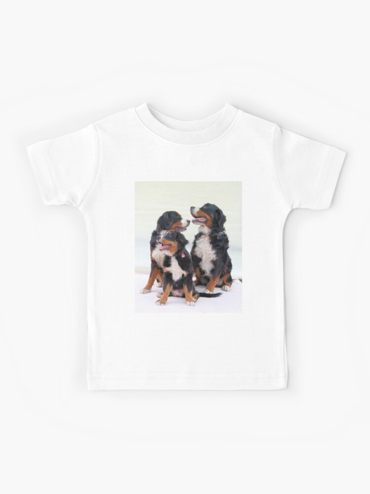 bernese mountain dog group