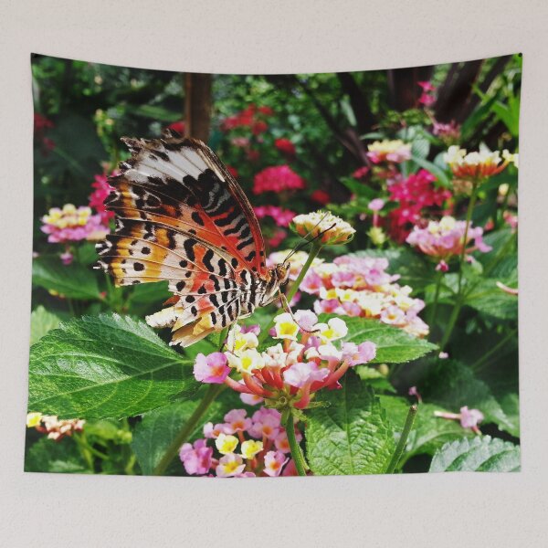 Item preview, Torn Common Lacewing Butterfly (Cethosa biblis) designed and sold by Nalinne Jones.
