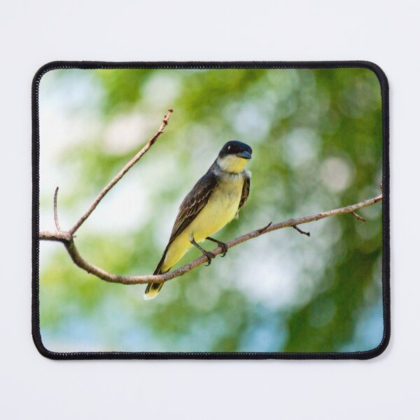 Item preview, Curious Yellow Bird  designed and sold by EarthUnlocked.