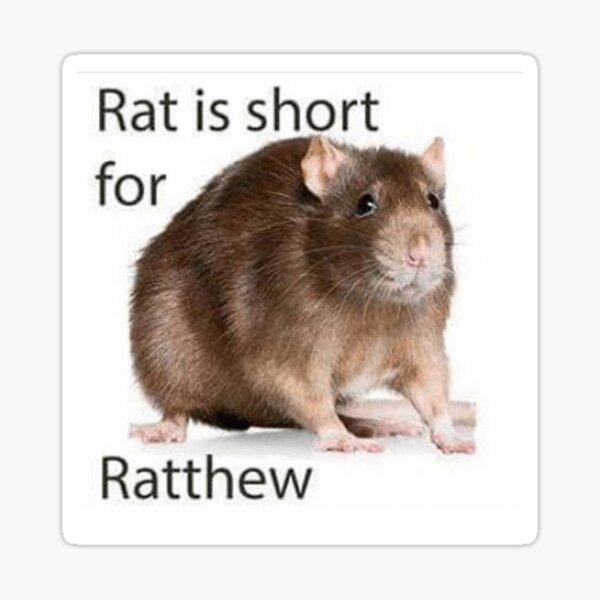 Oh Sh A Rat Roblox Id