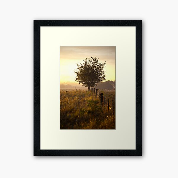 Sun day Framed Art Print