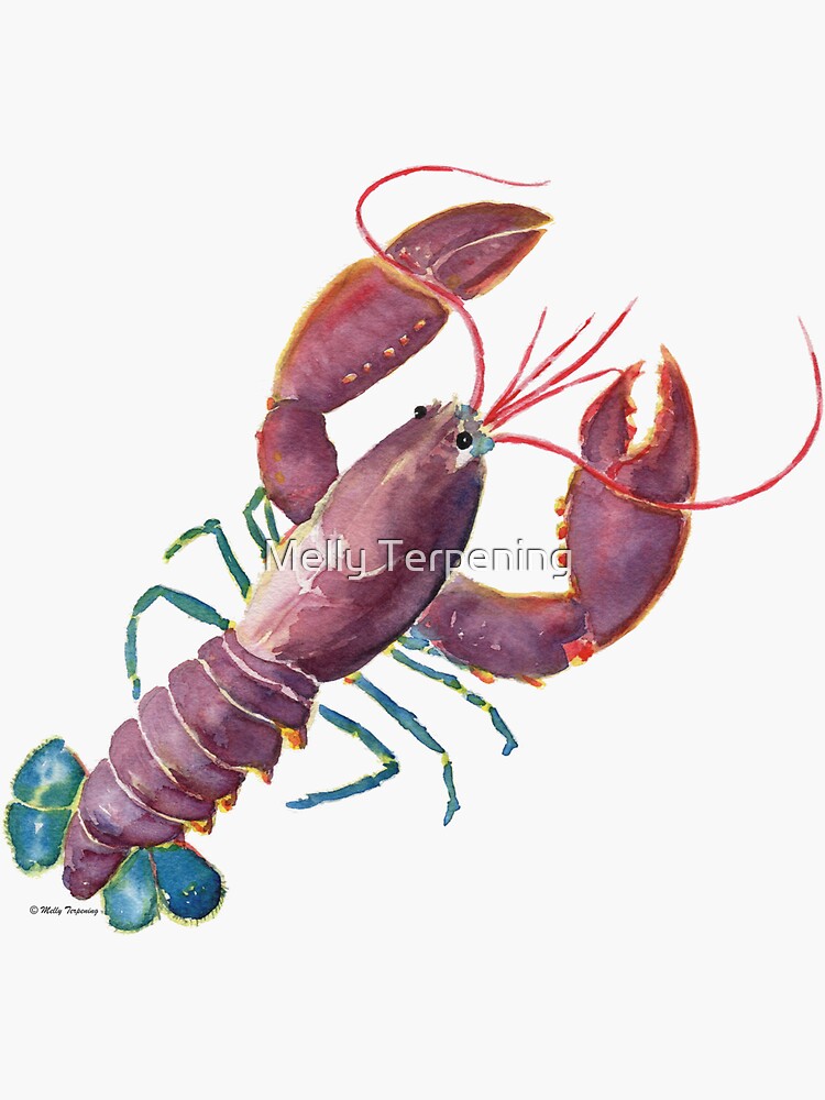 "Lobster" Sticker for Sale by MellyTerp Redbubble