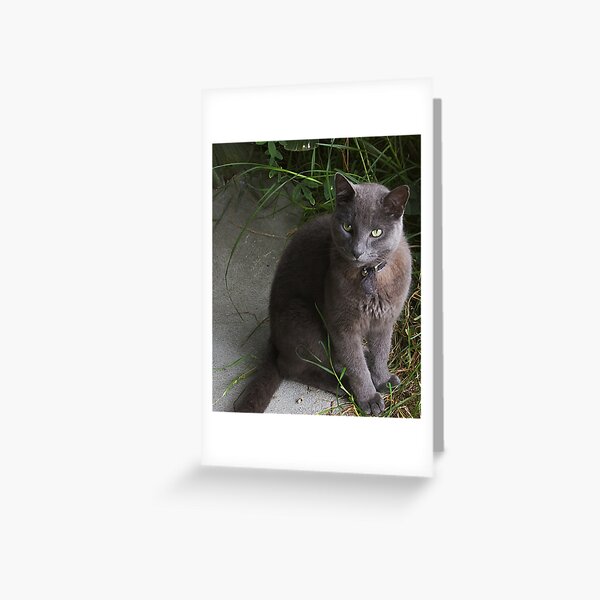 What next, Mum? Greeting Card