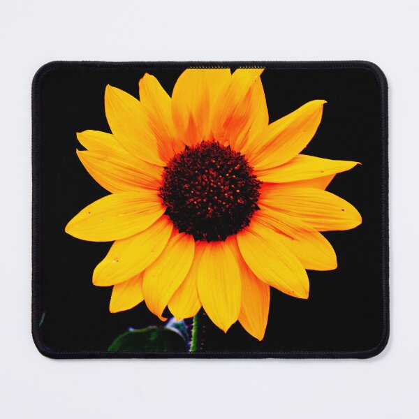 Item preview, Sunflower Shadow designed and sold by Elliot L..