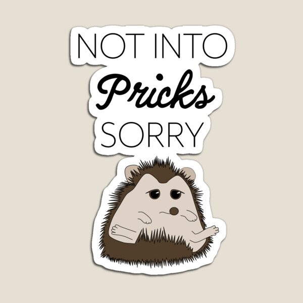 Not Into Pricks Sorry Magnet