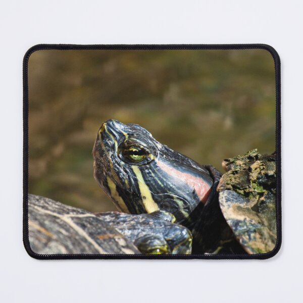 Item preview, Happy Turtle  designed and sold by EarthUnlocked.