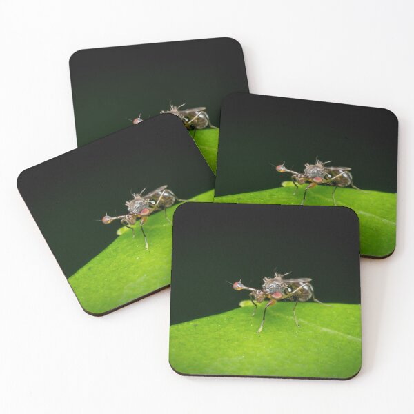 Item preview, An unique looking Stalk-eyed fly (Diopsidae) designed and sold by AvonPerception.