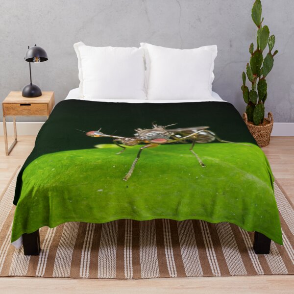 Item preview, An unique looking Stalk-eyed fly (Diopsidae) designed and sold by AvonPerception.