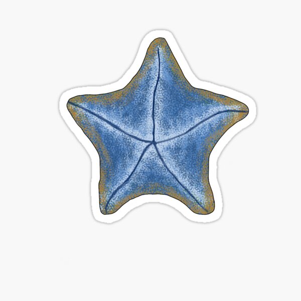Item preview, Blue Sea star designed and sold by Seatheocean.