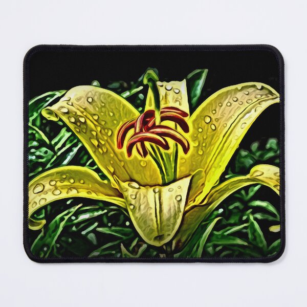 Item preview, Yellow Daylily At Midnight designed and sold by Heathermarie321.