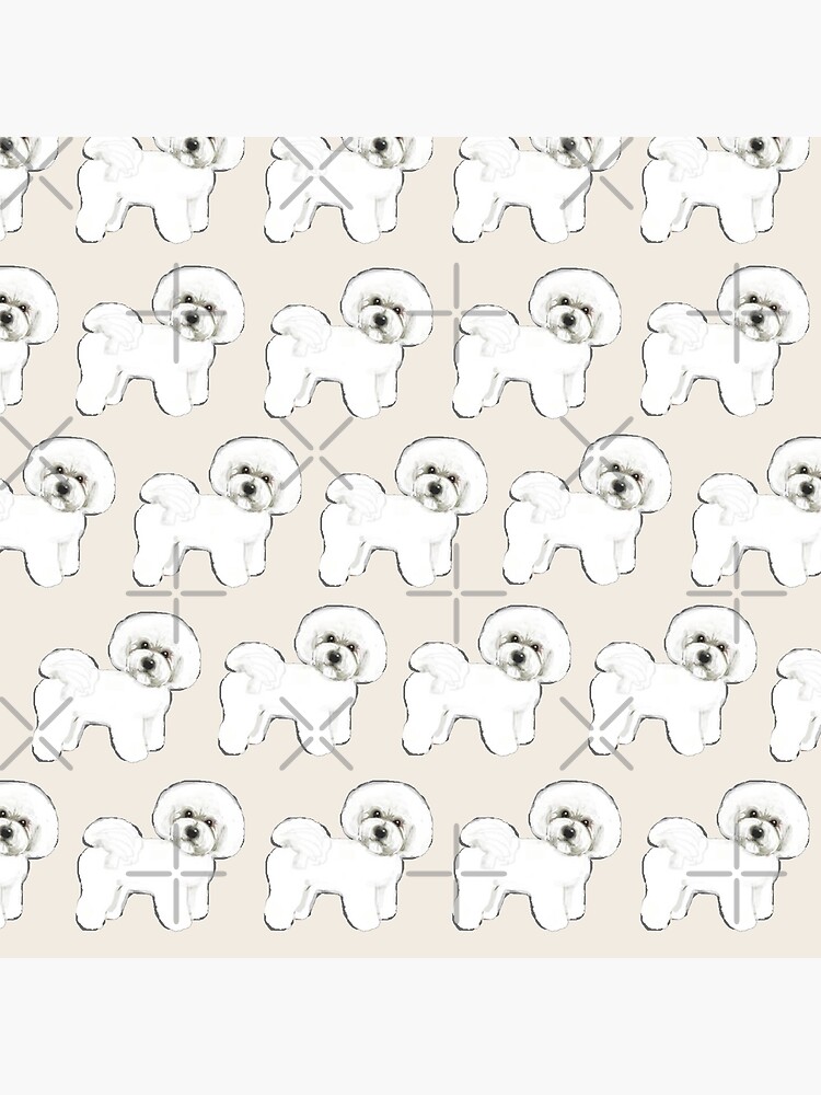 Bichon Frise on Cream by MagentaRose