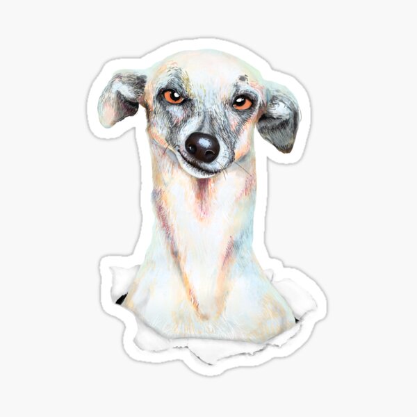 Doggy dog Sticker