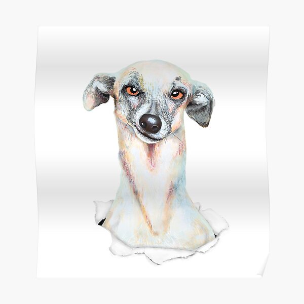 Doggy dog Poster