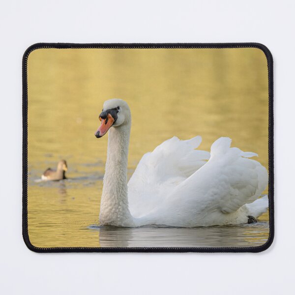 Item preview, Golden Swan designed and sold by AliMarleyPhoto.