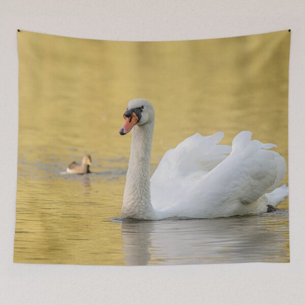 Item preview, Golden Swan designed and sold by AliMarleyPhoto.