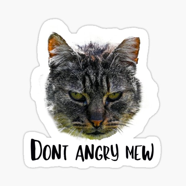 Don't Angry mew funny cat sticker Sticker for Sale by SFmerch