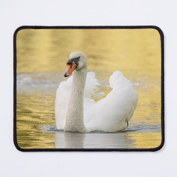Item preview, Golden Swan designed and sold by AliMarleyPhoto.