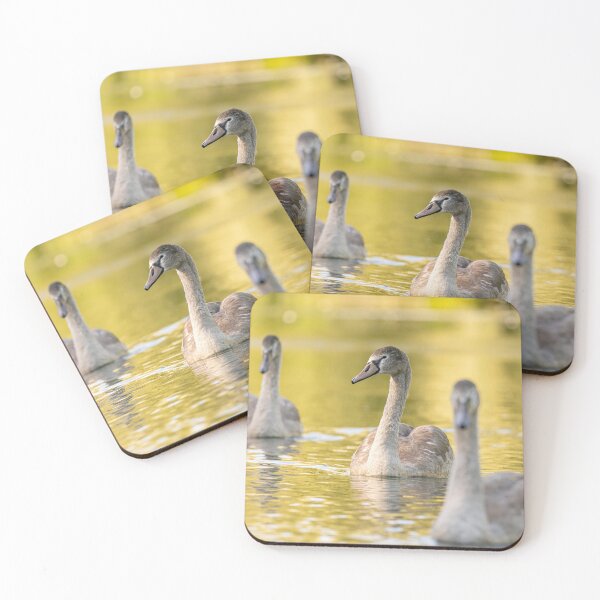 Item preview, Golden Swans designed and sold by AliMarleyPhoto.