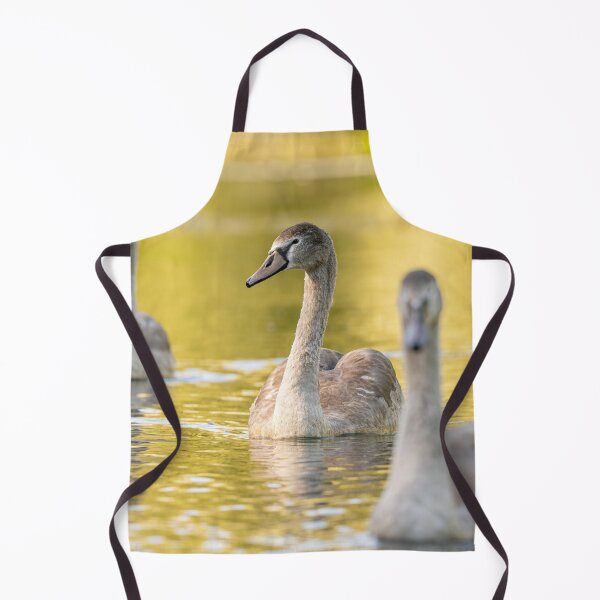 Item preview, Golden Swans designed and sold by AliMarleyPhoto.