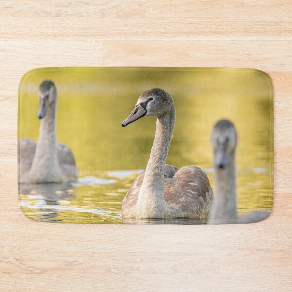 Item preview, Golden Swans designed and sold by AliMarleyPhoto.