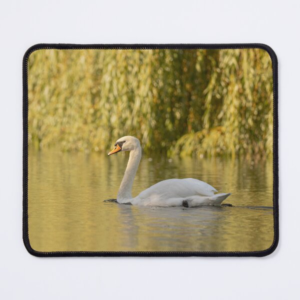 Item preview, Golden Swan designed and sold by AliMarleyPhoto.