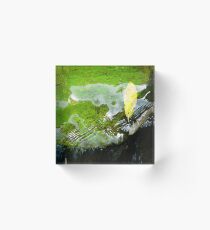 Yellow Leaf Ripples, Victoria BC Acrylic Block