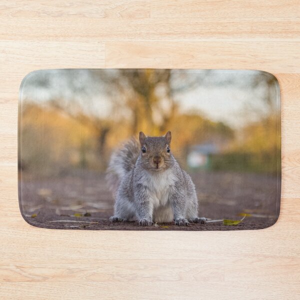 Item preview, Squirrel  designed and sold by AliMarleyPhoto.