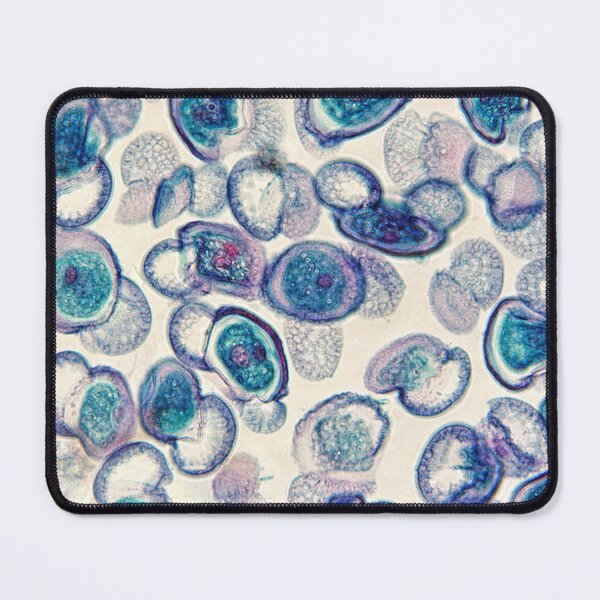 Item preview, pine pollen; plant anatomy, microscopy designed and sold by everydaybotany.
