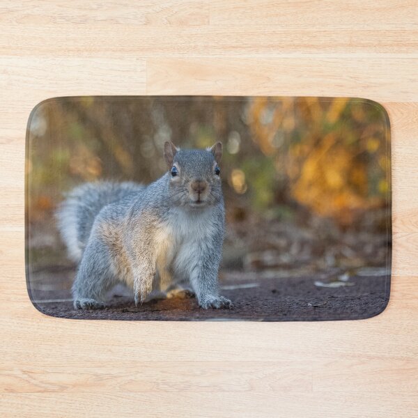 Item preview, Squirrel  designed and sold by AliMarleyPhoto.