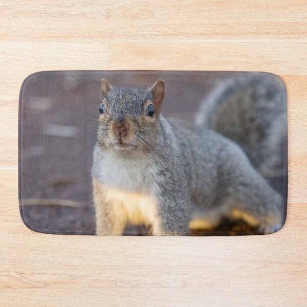 Item preview, Squirrel  designed and sold by AliMarleyPhoto.