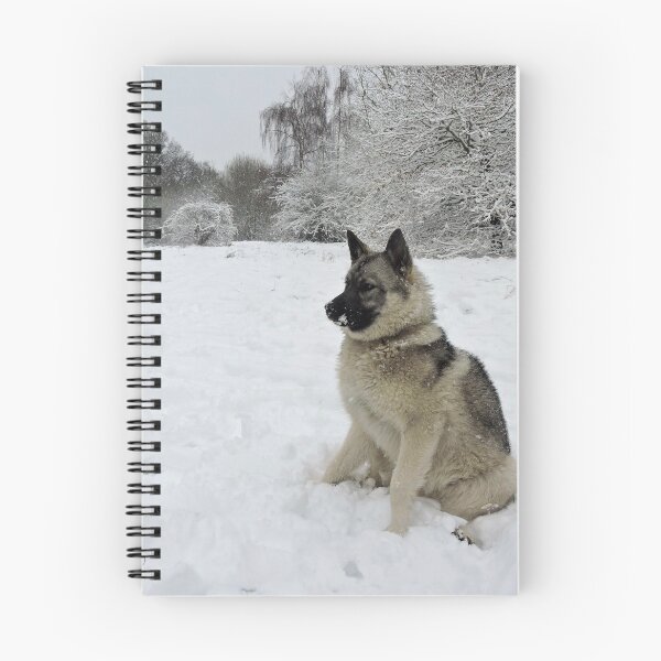 Item preview, It Snowed! designed and sold by CreativeEm.