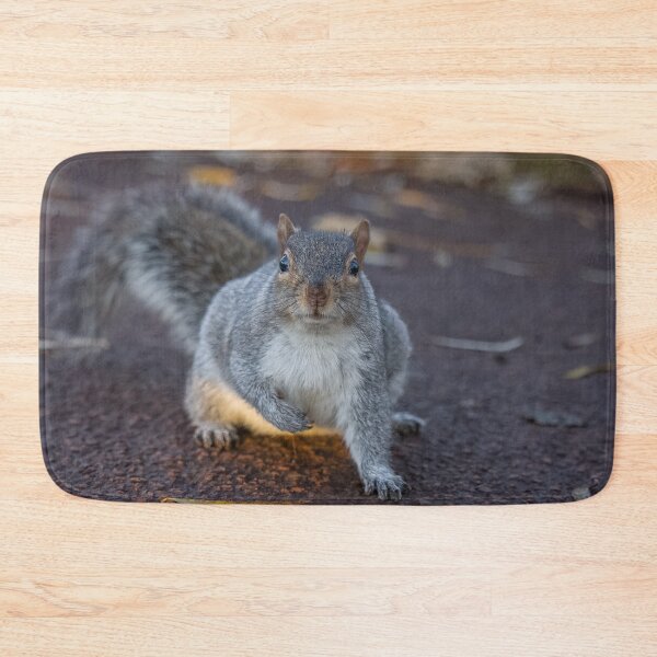 Item preview, Squirrel  designed and sold by AliMarleyPhoto.