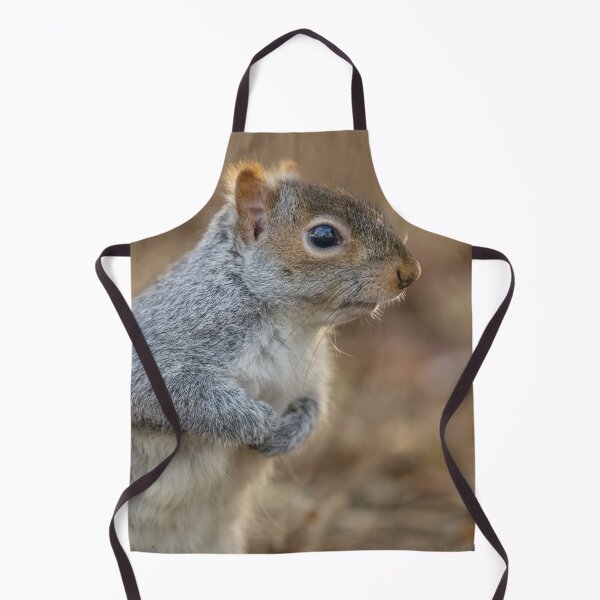 Item preview, Squirrel designed and sold by AliMarleyPhoto.