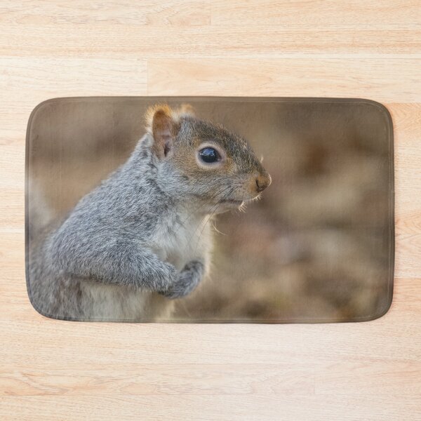 Item preview, Squirrel  designed and sold by AliMarleyPhoto.