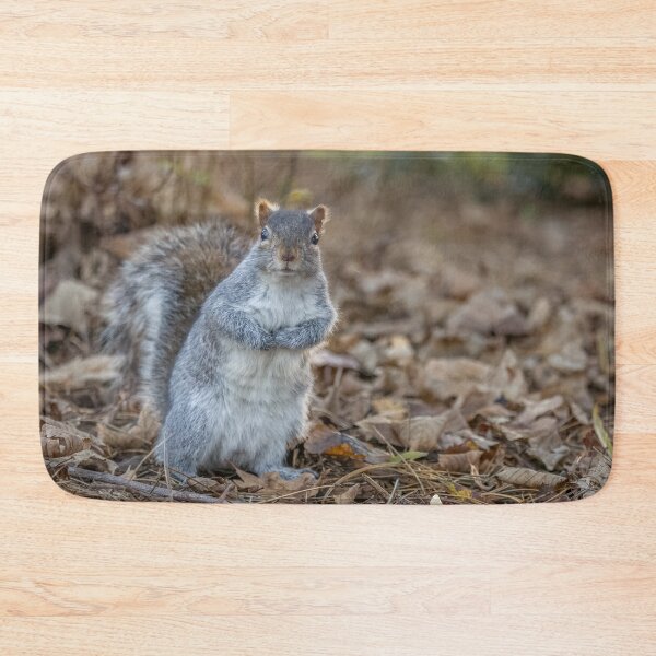Item preview, Squirrel  designed and sold by AliMarleyPhoto.