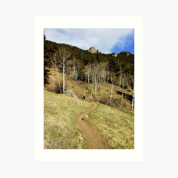 Down the path Art Print
