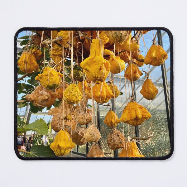 Item preview, pumpkin, plant, designed and sold by Yusein Ismail.